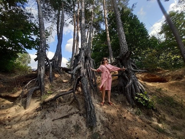 Dominika w Smukale, gdzie odkryła sosny o osobliwym wyglądzie, rosnące z odsłoniętymi korzeniami.