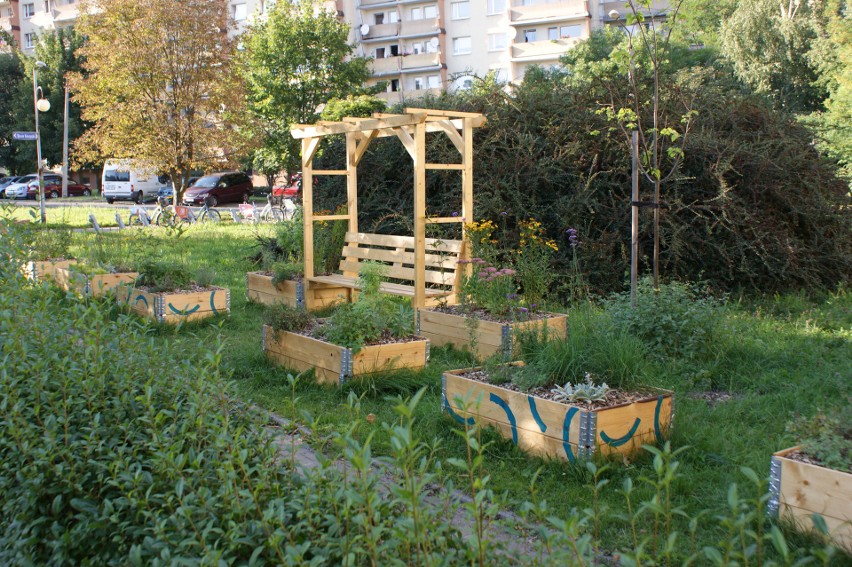 W Katowicach powstały cztery ogrody społeczne. Mieszkańcy sami je zbudowali, posadzili rośliny, a teraz będą o nie dbać. Gdzie się znajdują?