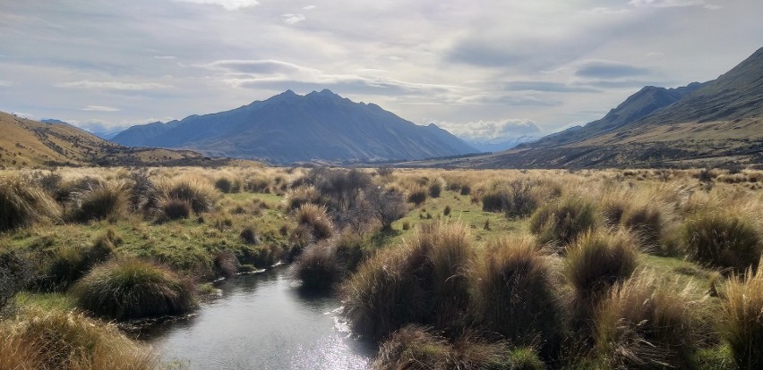 Nowa Zelandia słynie z pięknych krajobrazów, malowniczych...