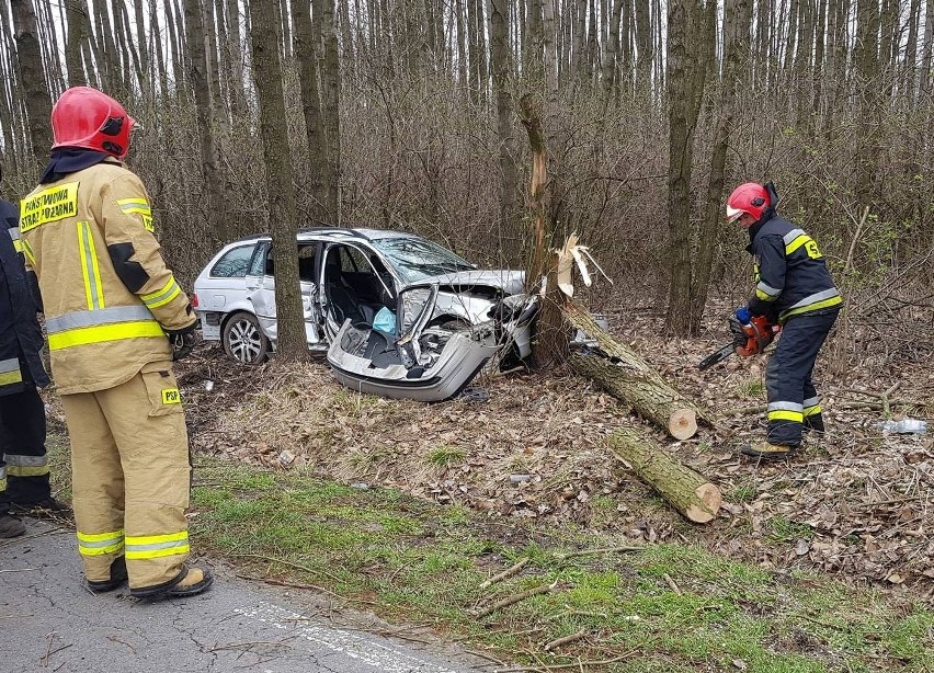 BMW uderzyło w drzewo na drodze lokalnej w Chechłach w gminie Policzna. Kierującą nim kobietę i jeszcze drugą osobę przewieziono do szpitala