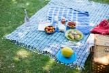 Jaki koc piknikowy wybrać? Który będzie najlepszy?