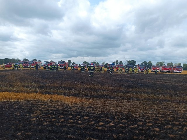 35 hektarów pól spłonęło pod Słupskiem w niedzielę, 18.07.2021 r.! Gasić ogień musiało aż 19 zastępów strażaków