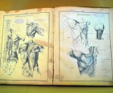 Anatomia dla artystów ręką artysty stworzona