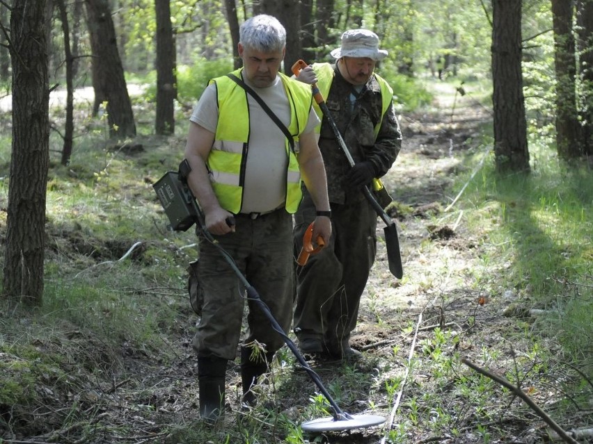 Znów przeszukują las na Osowej Górze w Bydgoszczy. Szukają niewypałów [zdjęcia]