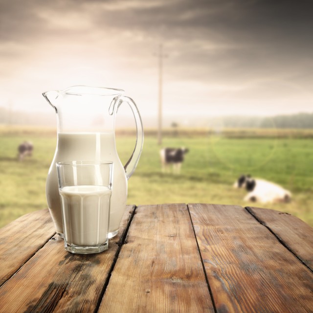 Mleko, zwłaszcza to naturalne, dostarcza organizmowi dużej ilości łatwo przyswajalnego białka