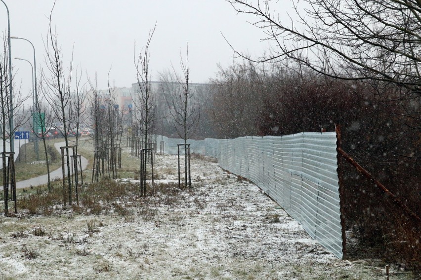 TBV stawia ogrodzenie na górkach czechowskich. Zobacz zdjęcia