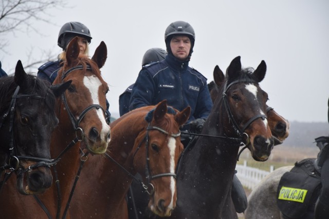 Policyjne konie z Chorzowa ostatecznie trafiły do Częstochowy