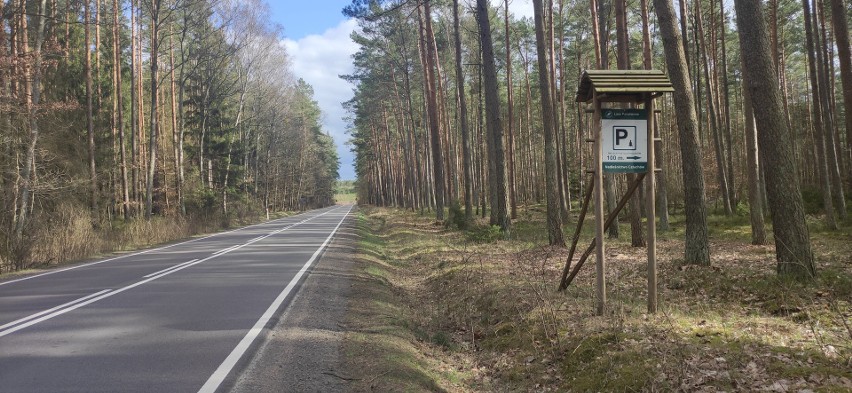 Cios dla chojniczan! Leśnicy ograniczą kąpiele w jeziorze pod Chojnicami. Zrobi się  tłok, burmistrz zapowiada interwencję