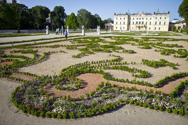 Do piątku wymieniono w salonie ogrodowym Pałacu Branickich ponad 7 tys. roślin.