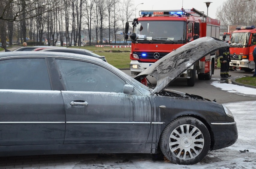 Wrocław: Pożar samochodu osobowego na ul. Legnickiej (ZDJĘCIA)