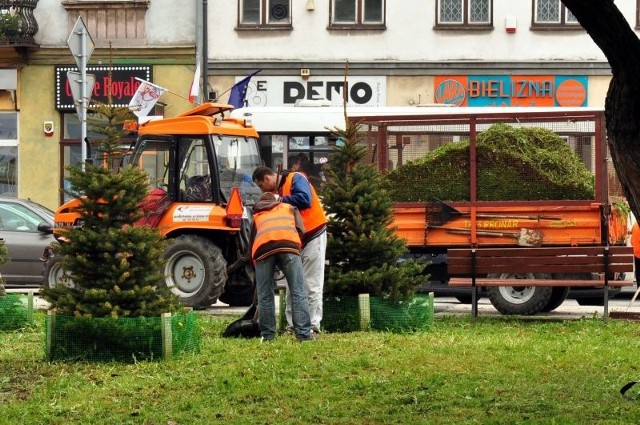 Trawniki na miejskich skwerach zaczęli kosić też pracownicy Zakładu Usług Komunalnych w Radomiu.