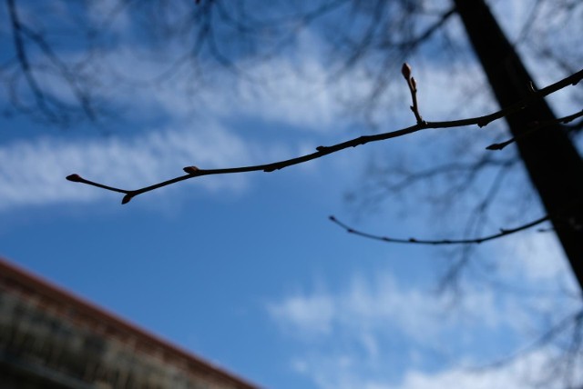 Temperatura w weekend wyniesie 10-17 stopni Celsjusza. Wystąpi też częściowe zachmurzenie. Możemy się spodziewać miejscowych opadów deszczu.Czytaj dalej ---> 