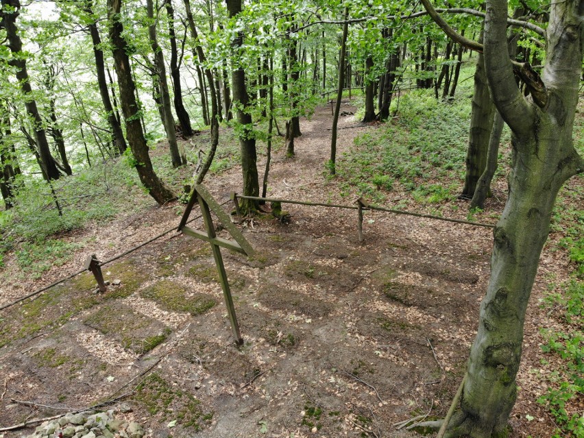 Archeolodzy z UJ szukają na Podkarpaciu śladów krwawych walk sprzed stu lat