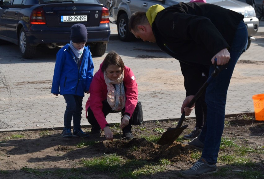 Ostrołęka. Akcja „Robimy tlen” z Multimedialnym Centrum Natura [ZDJĘCIA]