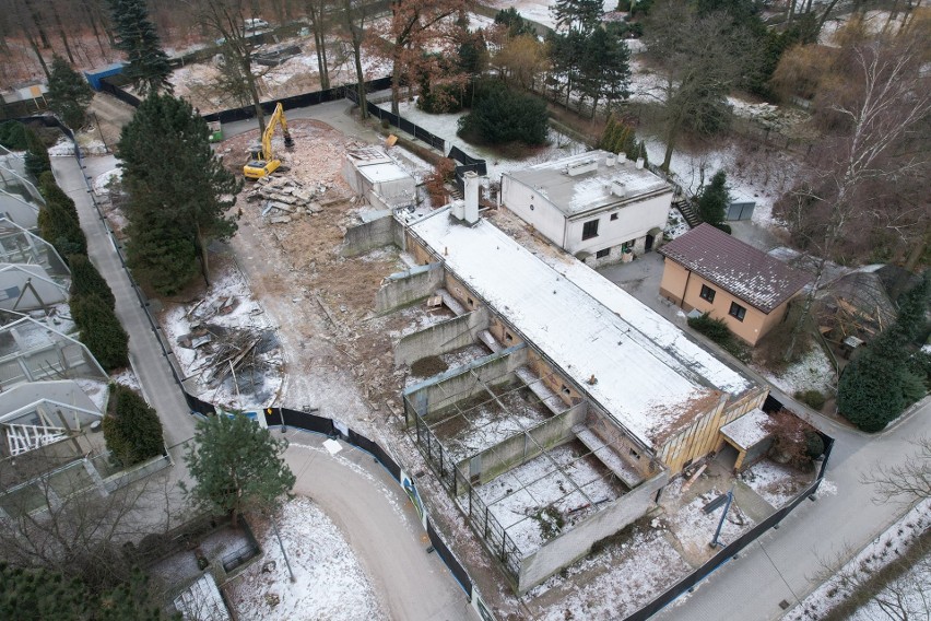 Zmiany w krakowskim zoo. Trwają prace rozbiórkowe