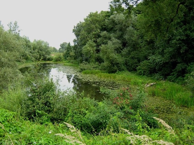 Jezioro Rządz i okolice.jpg