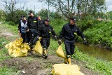 Białystok. Ćwiczenia Woda 2017. Było budowanie zapór i ewakuacje (zdjęcia)