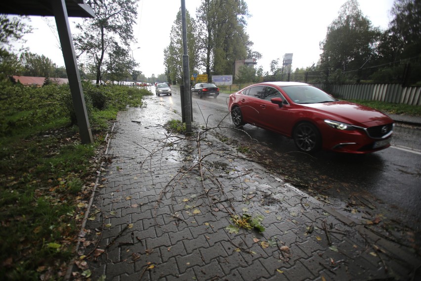 Tysiące ludzi bez prądu, połamane drzewa, zniszczone auta....