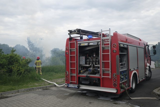 Na miejsce pożaru zadysponowano osiem zastępów straży pożarnej.