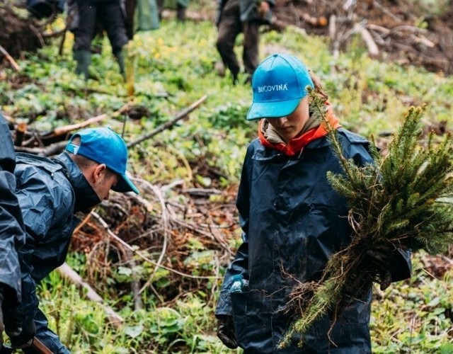 Marka Bukovina należące do Maspexu z Wadowic, zorganizowała  w tym roku akcję zalesiania. Sadzenie drzew na szeroką skalę miało miejsce w rejonie Valea Secu w gminie Dorna Candrenilor w Rumunii.