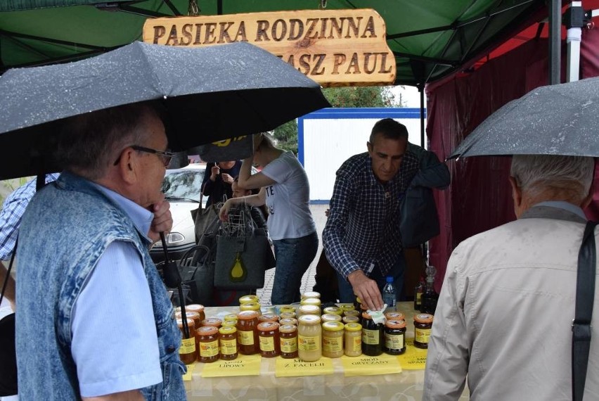 W Kruszwicy obchodzono Wojewódzki Dzień Pszczelarza