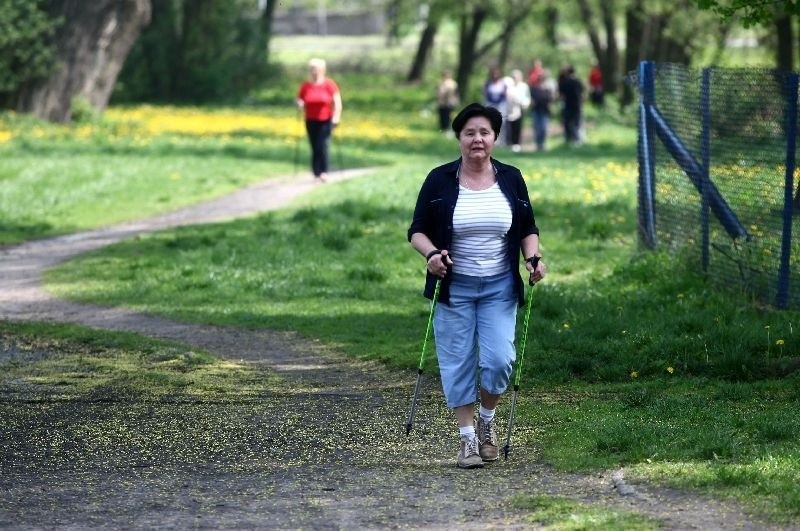 Maszerują z kijkami. Bezpłatne zajęcia z nordic walking 