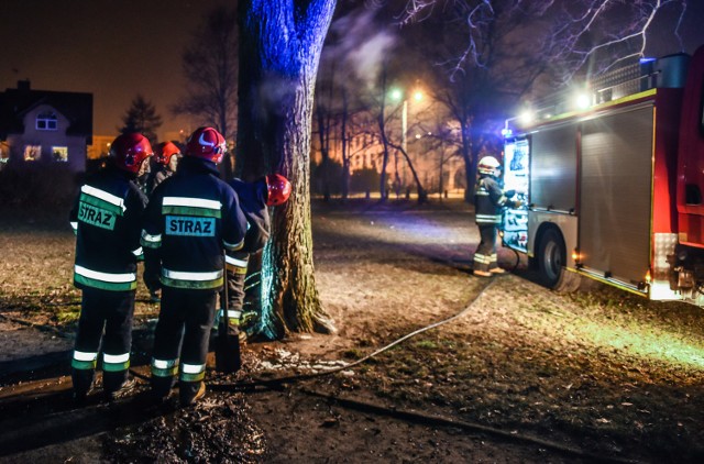 Przed godz. 2 w nocy przy ul. Siedleckiej w Bydgoszczy zapłonęła także altana ogrodowa.