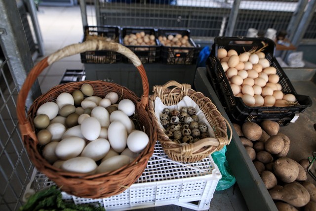 Ceny jajek poszły w górę! Ile kosztują w Poznaniu na Wielkanoc 2023? Sprawdziliśmy.Przejdź dalej i zobacz ceny jajek --->