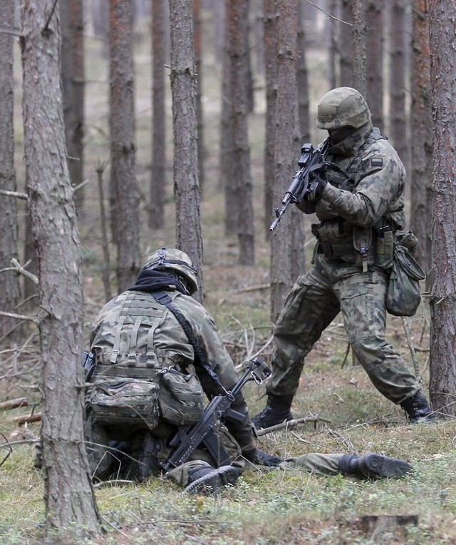 W tym roku zostanie przeszkolonych 7 tys. rezerwistów z całego kraju. Na zdjęciu ćwiczenia wojskowe na poligonie w Nowej Dębie