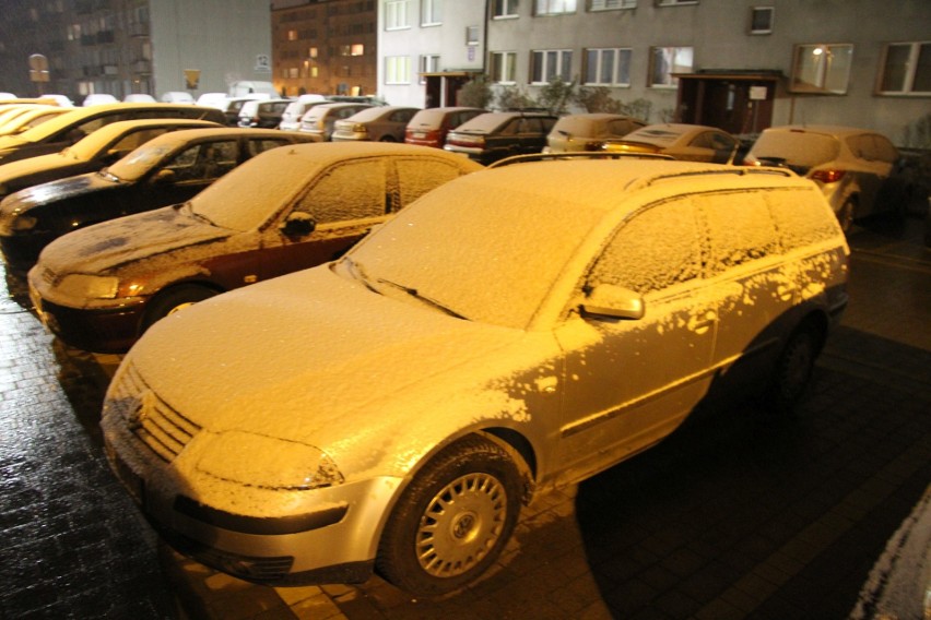 Zima w Tarnobrzegu! Spadł pierwszy śnieg (ZDJĘCIA)