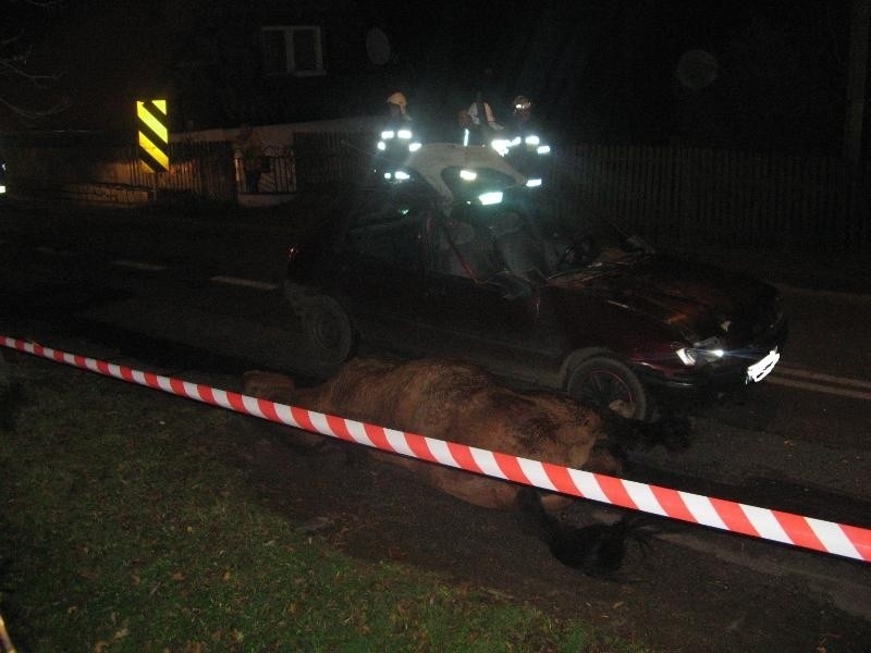 Wypadek w Orłowicach. Samochód osobowy zderzył się z koniem (ZDJĘCIA)
