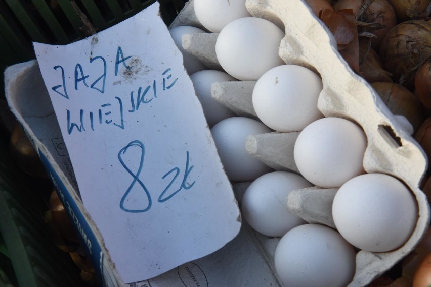 Cena jajka prosto z gospodarstwa (Kujawsko-Pomorski...