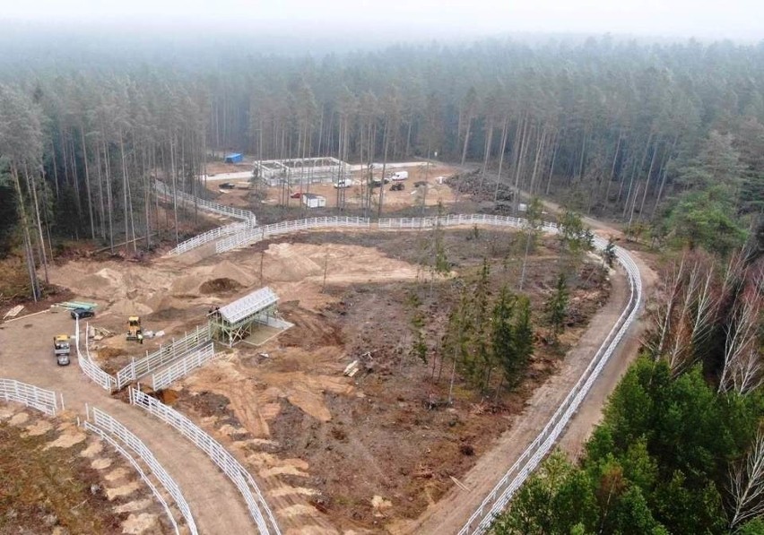 Zagroda pokazowa żubrów w miejscowości Kopna Góra ma powstać...