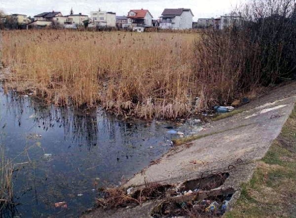 Zarośnięty i zaniedbany staw przy ulicy Fredry pod koniec roku ma wyglądać zupełnie inaczej. W przyszłości mogą wokół niego powstać tereny rekreacyjne dla okolicznych mieszkańców.