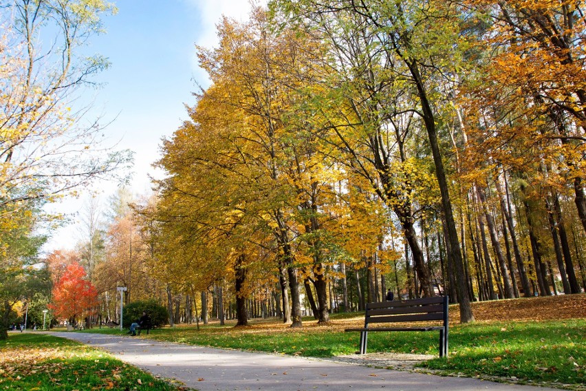 Myślenice. Park na Zarabiu poleca się na jesienny spacer. I czeka na patrona [ZDJĘCIA]