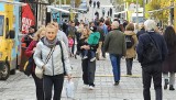 Food Trucki znów opanowały centrum Kielc. Zobacz, co się dzieje w pierwszym dniu Street Food Polska Festival