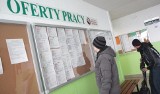 Rekordowo niska stopa bezrobocia w Polsce. Śląskie także na podium