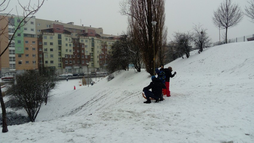 Wrocław pod śniegiem. Prawdziwa zima na początek ferii