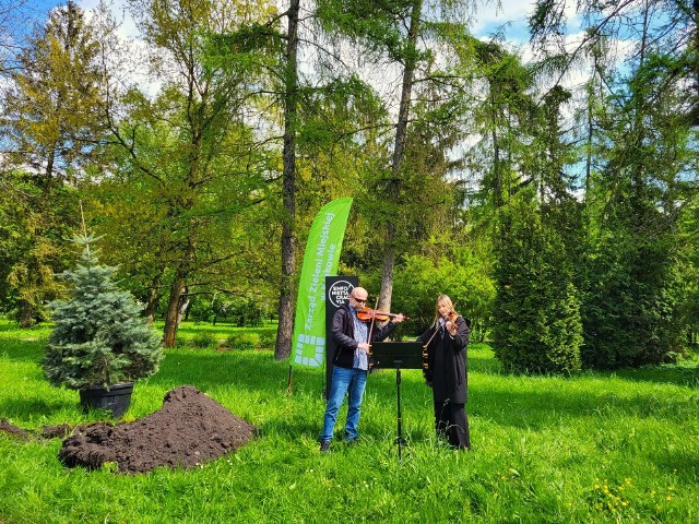 W Parku Jordana posadzono 3 jodły jednobarwne. Tak rozpoczęto akcję sadzenia 30 drzew z okazji jubileuszu 30 lat Orkiestry Stołecznego Królewskiego Miasta Krakowa Sinfonietta Cracovia.