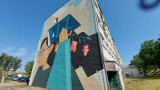 Odsłonięcie zwycięskiego muralu z okazji 20-lecia Uniwersytetu Zielonogórskiego. Jak wyglądają inne nagrodzone prace na budynkach uczelni? 