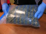 Marihuana warta 10 tys. zł u 21-latka z Białej Podlaskiej