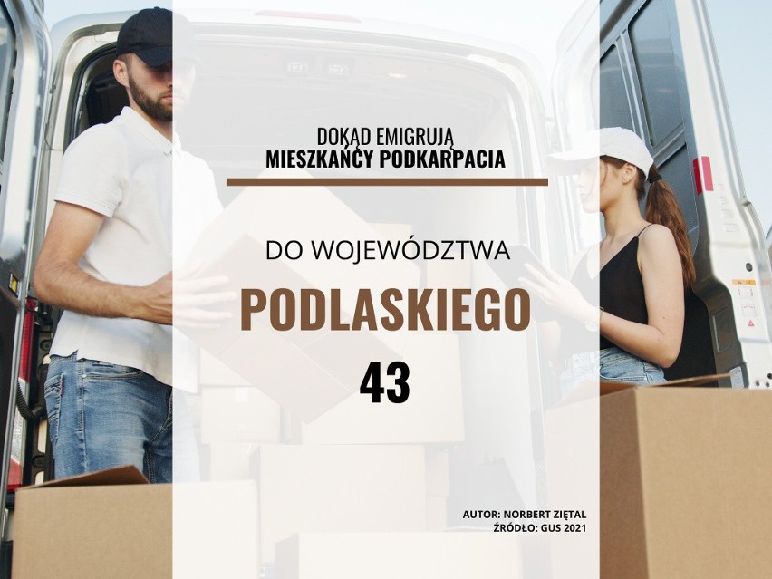 43 osoby wyemigrowały w 2021 roku z Podkarpacia do...