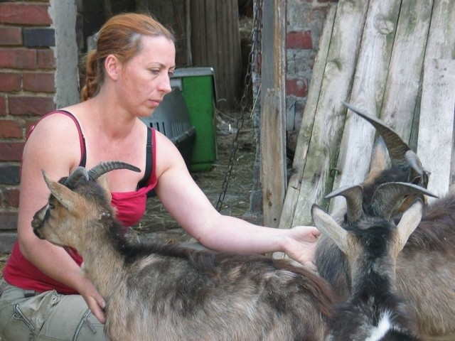 Radna Blanka Horbatowska koziołka nazwała Matołkiem, a kózkę Marcelka. Mówi, że nie było problemów ze znalezieniem opieki dla pozostałych zwierząt.