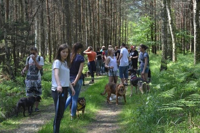 Tak było na poprzednim Dog Trekkingu w Jasieniu.