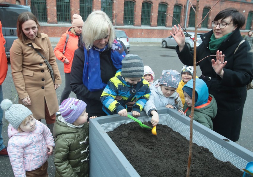 Przy Pałacu Młodzieży powstaje Pałacowy Ogród. Dzieci posadziły drzewa