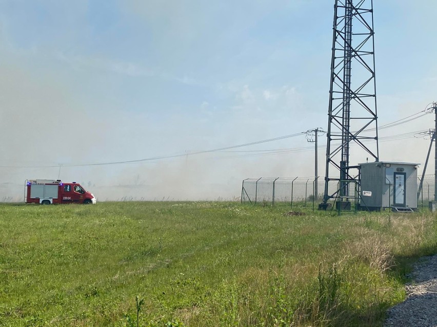 Pożar na polach pomiędzy Jerzmanowicami a Gotkowicami