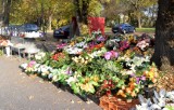 Znicze i kwiaty na cmentarzu w Radomiu. Jest duży wybór. Zobacz zdjęcia i ceny