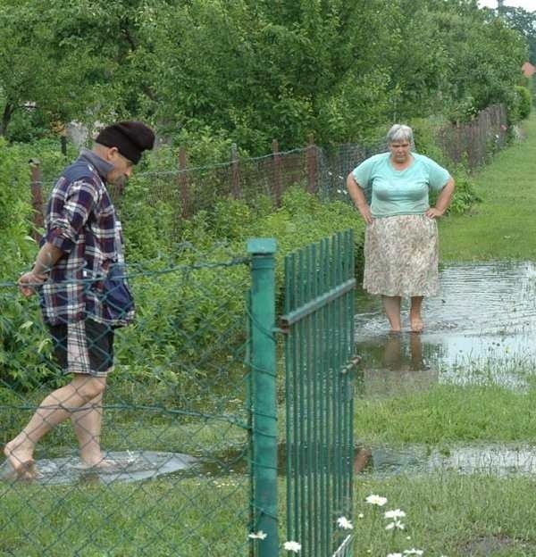 Właściciele ogródków przy ul. Kanałowej w Choszcznie jeszcze wczoraj brodzili w wodzie