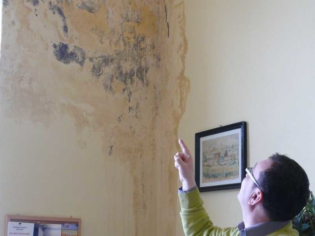 Na ścianach w prawie wszystkich  pokojach pracowników placówki jest widoczny grzyb. Na zdjęciu pokazuje go dyrektor Jarosław Michalski.