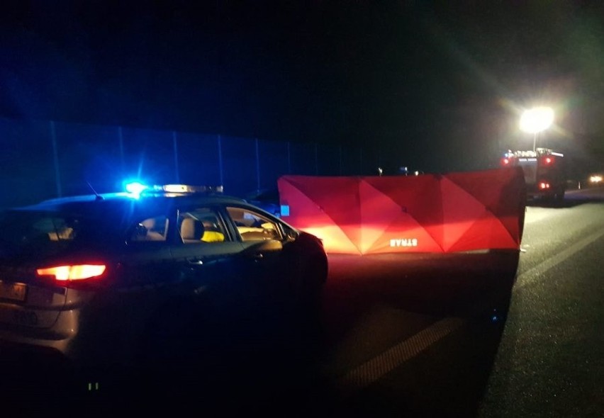 Śmiertelny wypadek na A1 koło Kutna. Zderzenie z łosiem na autostradzie A1 w pobliżu wsi Sójki 29.11.2020